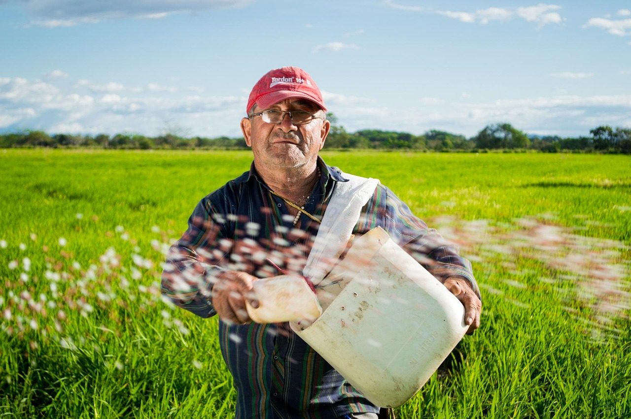 Colombia reporta 261.000 hectáreas de cultivos de coca en 2024
