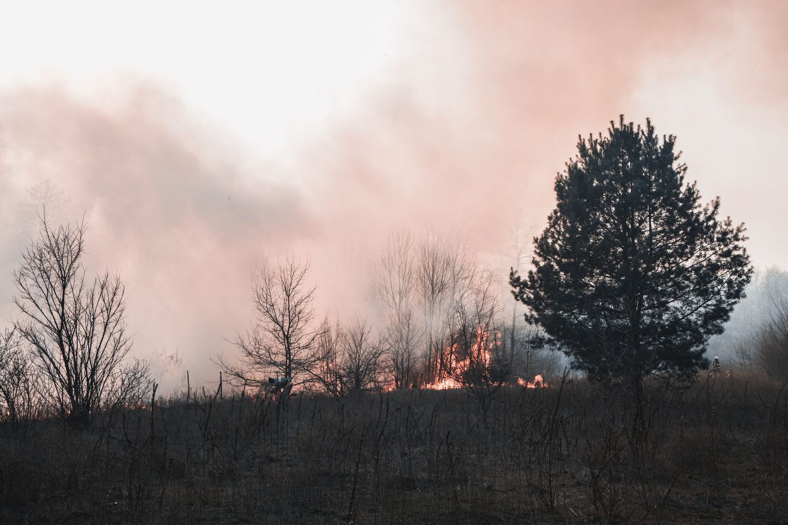 Ola de calor en Italia y Balcanes genera alertas por incendios