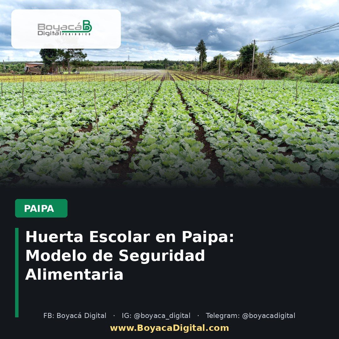 Huerta Escolar en Paipa: Modelo de Seguridad Alimentaria