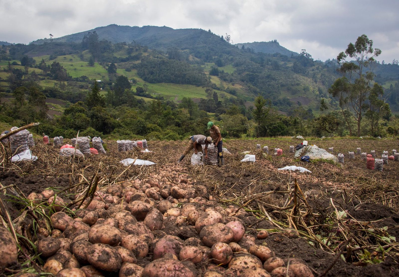 EBSA informa sobre El Niño y su impacto en Boyacá