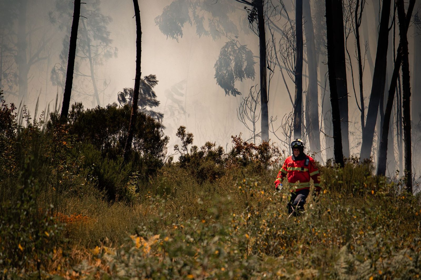 Bomberos de Sogamoso combaten incendios forestales tras más de ocho días de trabajo
