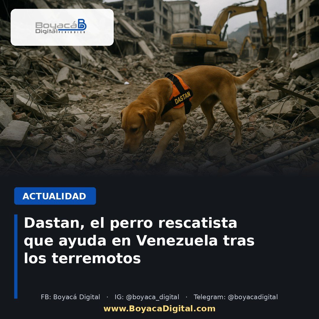 Dastan, el perro rescatista que ayuda en Venezuela tras los terremotos