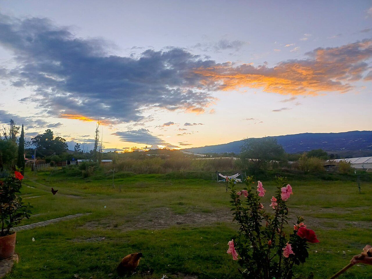 Villa de Leyva realiza velatón en memoria de Kira, símbolo contra el maltrato animal