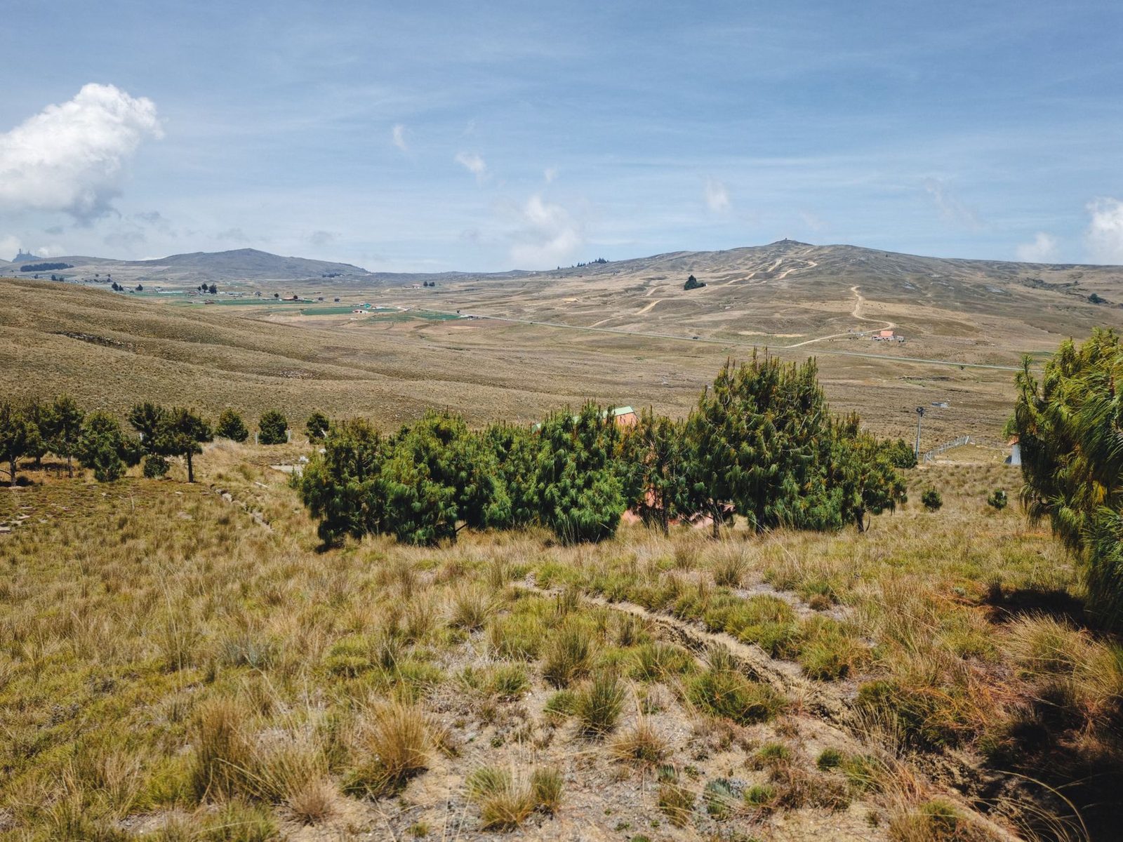 Tasco lanza convocatoria para venta de predios ambientales