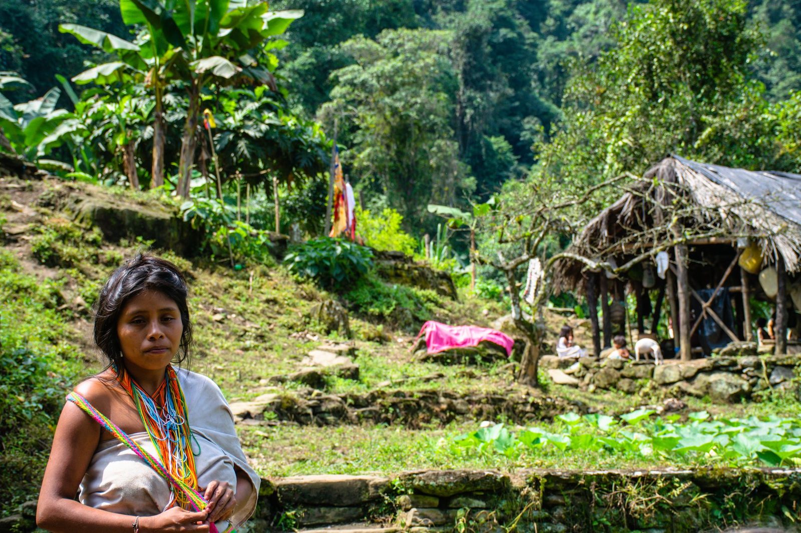 Gustavo Petro formaliza 22 Entidades Territoriales Indígenas en Colombia